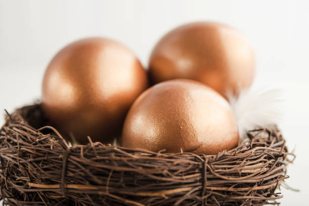 istock Golden eggs in the nest 1059201838