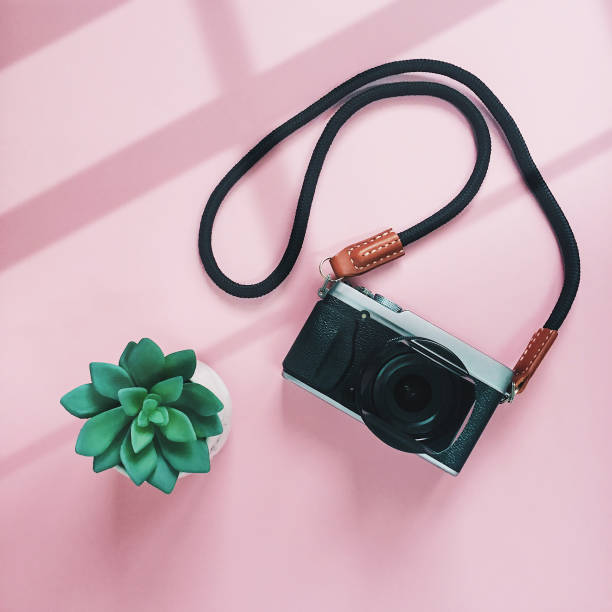 istock Creative flat lay style of camera and green plant on pink background with window light, minimal style 1059209348