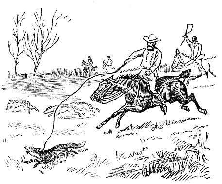British London satire caricatures comics cartoon illustrations: Hunting with whip