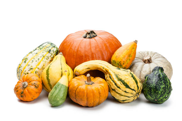 istock Various multi colored decorative gourds heap isolated on white background 1059214330