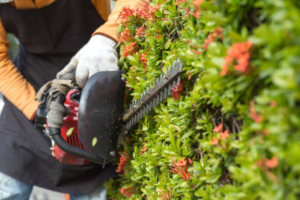 gerdener cutting and decorating garden