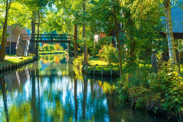 Spreewald Lübbenau Lehde - typical forest river landscape in sunlight in autumn Spreewald Lübbenau Lehde - typical landscape in sunlight in autumn spreewald stock pictures, royalty-free photos & images