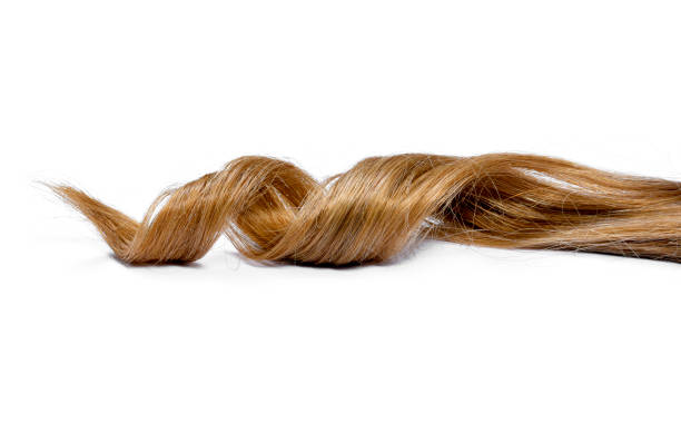 istock Beautiful brunette hair, isolated on white background 1059224308