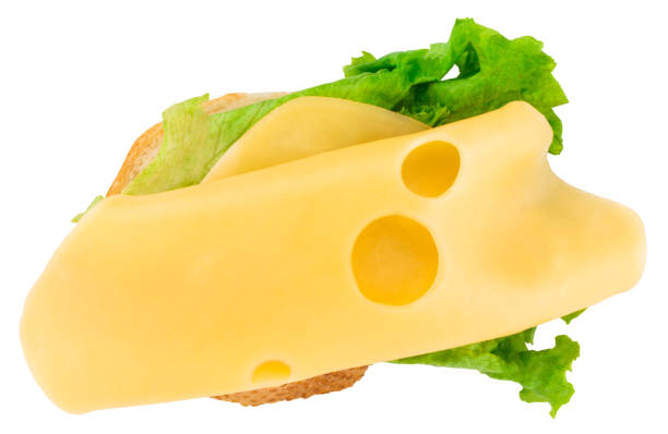 istock open healthy sandwich with cheese and lettuce isolated on white background 1059224444