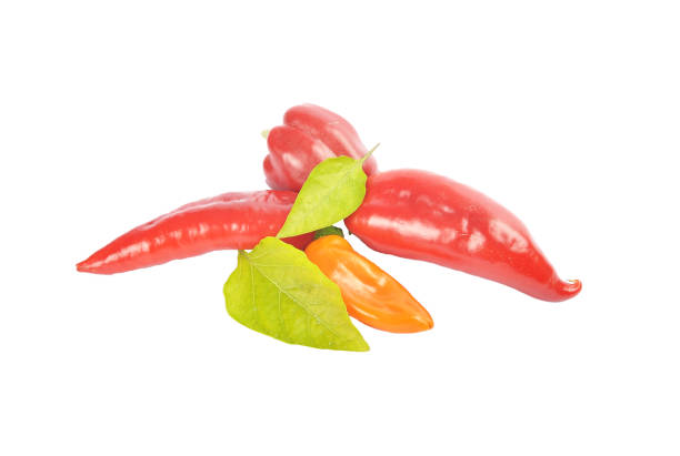 istock Red ball peppers with leaves isolated 1059227892