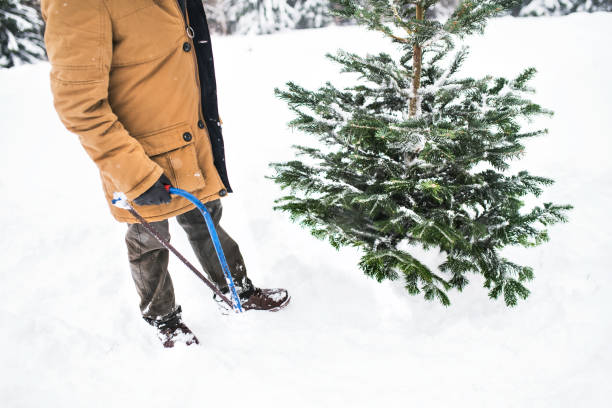 istock Senior man getting a Christmas tree in forest. 1059228842