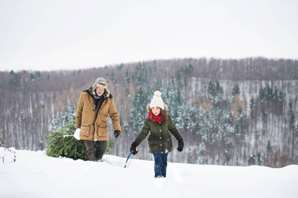 istock Grandfather and small girl getting a Christmas tree in forest. 1059229020