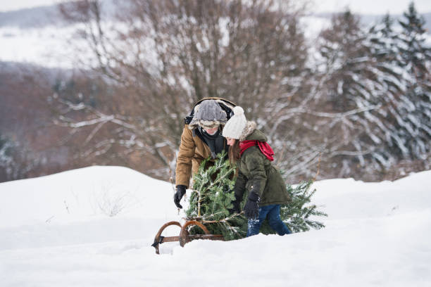 istock Grandfather and small girl getting a Christmas tree in forest. 1059229104