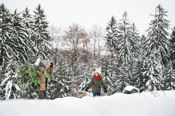 istock Grandfather and small girl getting a Christmas tree in forest. 1059229266