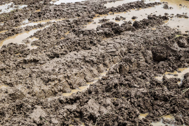 istock The area plowed in water 1059233658