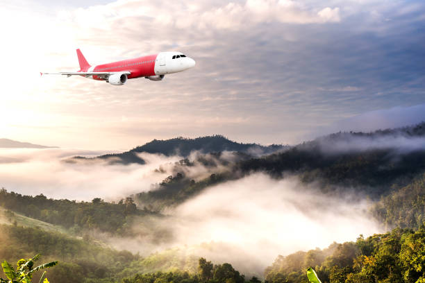 istock The plane flew over the forest in the morning. 1059234802