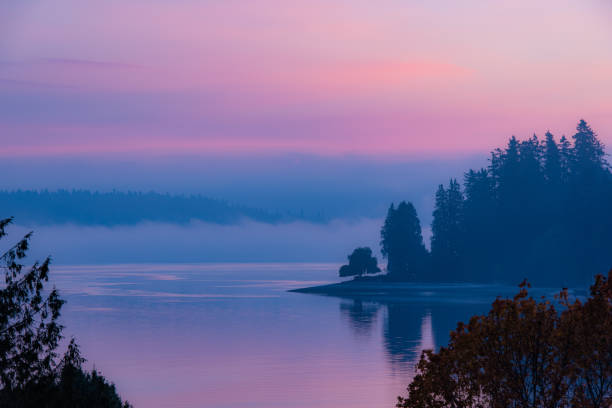 Pastel Morning In The Pacific Northwest Sunrise reflecting on the cold and misty waters of Puget Sound, Washington. bainbridge island photos stock pictures, royalty-free photos & images