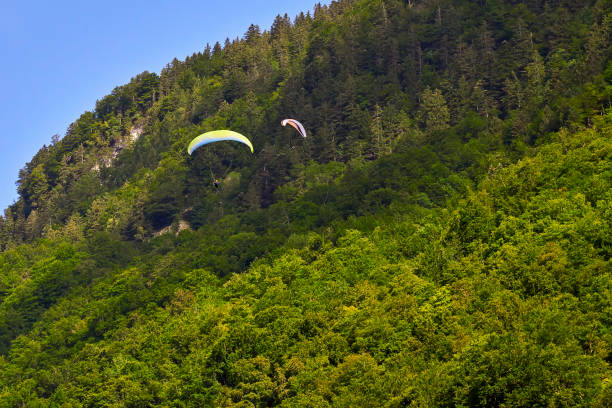 istock Paraglider flying over green slopes. Swiss Alps 1059237388