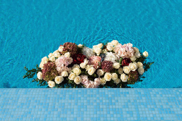 istock The pool filled with white rose flowers. Wedding decor 1059237712