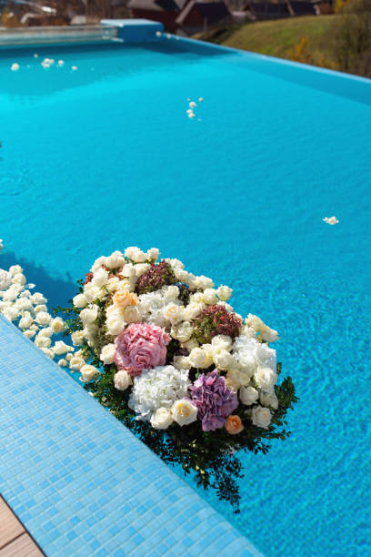 istock The pool filled with white rose flowers. Wedding decor 1059237812