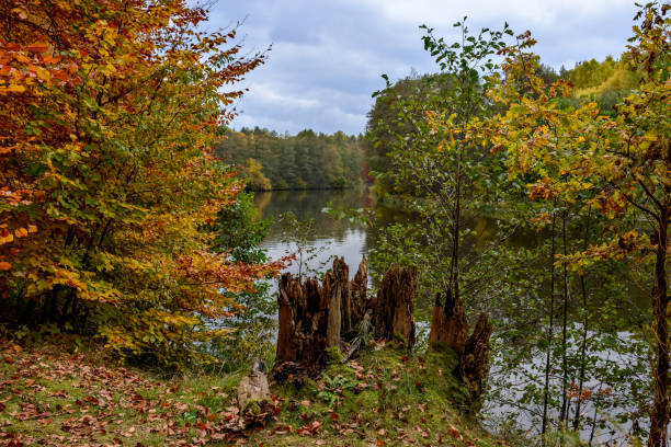 istock Autumnal river Havel near 