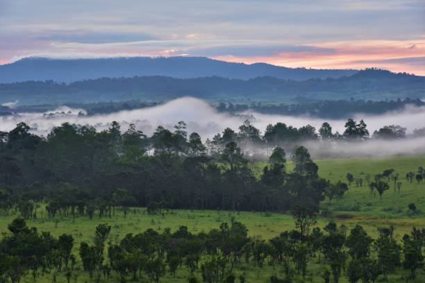 istock View of National park with sunset 1059245888