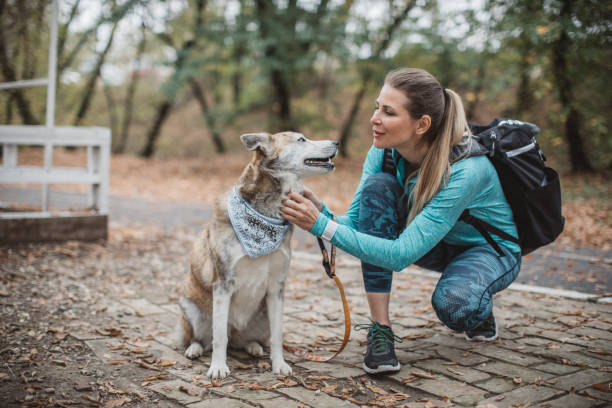 istock Woman walking with dog in park 1059250514
