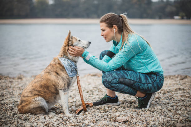 istock Woman resting on beach with dog 1059250832