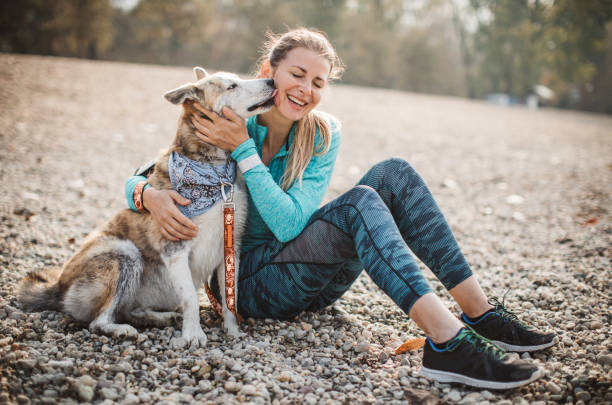 donna che riposa in spiaggia con il cane - animal sport foto e immagini stock