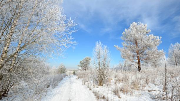 istock Road through snowcovered Russian countryside in winter 1059252102