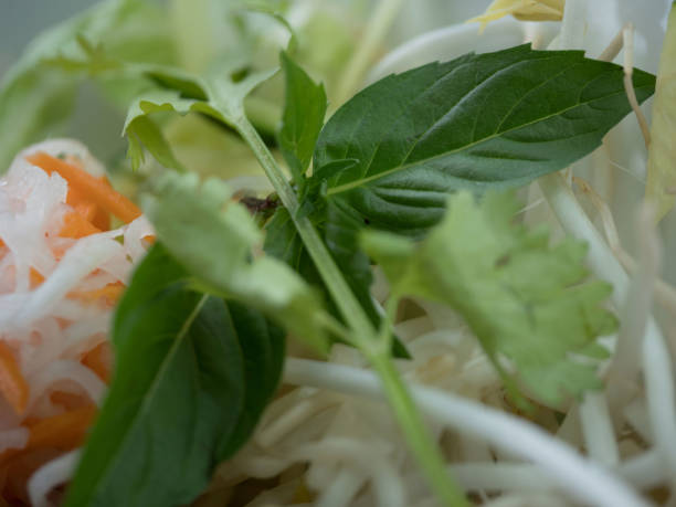 Vietnamese side Dish Pho