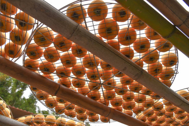istock Persimmons ripe in the autumn season 1059258154