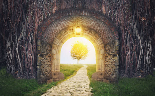 Mysterious gate in dreams.  New life or beginning concept stock photo