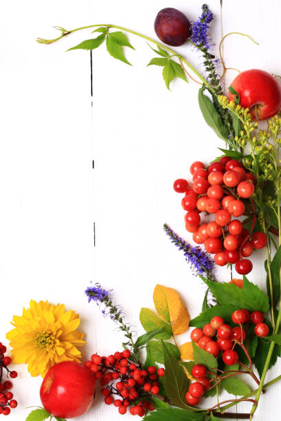 istock autumn composition with flowers and berries on a white wooden background 1059261976