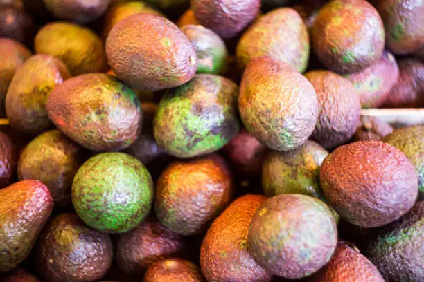 Photo of Fresh ripe avocados on display at food market