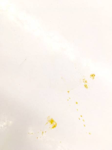 istock The stains of curry soup on a white wall. 1059263150