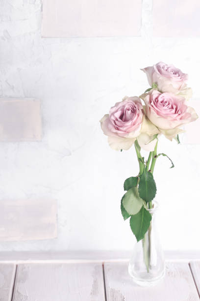 istock delicate pink roses in vintage, shabby chic 1059264744