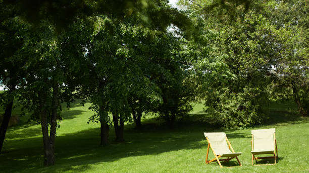 istock Rest chairs in the garden. Resort concept 1059269920