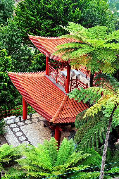 istock Monte Palace Tropical Garden - Madeira island 105927302