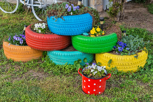The colorful flowers and tire pots
