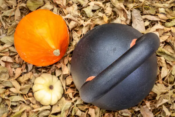 heavy iron kettlebell with winter squash and gourd - top view against dry leaves background