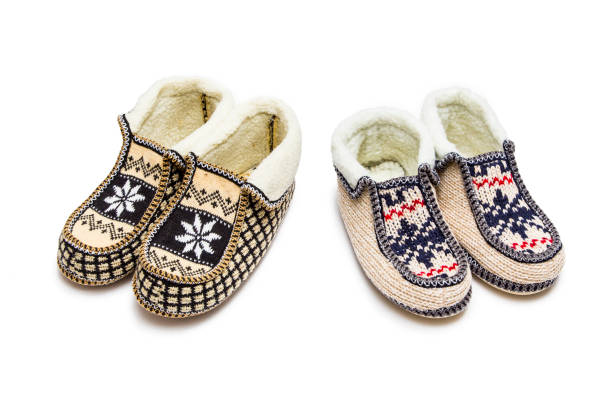istock Warm home Slippers on white background 1059283504
