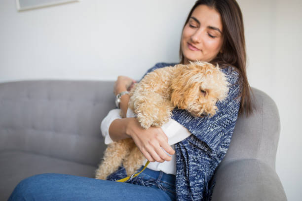 istock Woman playing with her dog 1059287766