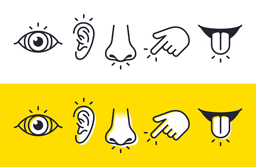 Five senses sight, hearing, smell, touch and taste symbols and icons.