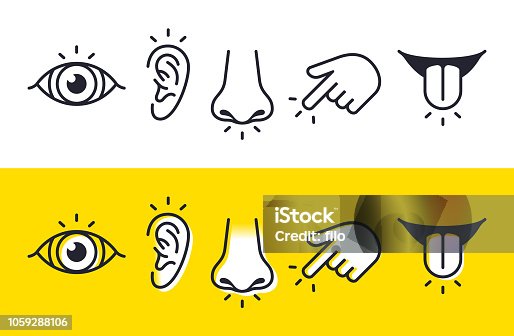 istock Five Senses Sight Hearing Smell Touch Taste Icons and Symbols 1059288106