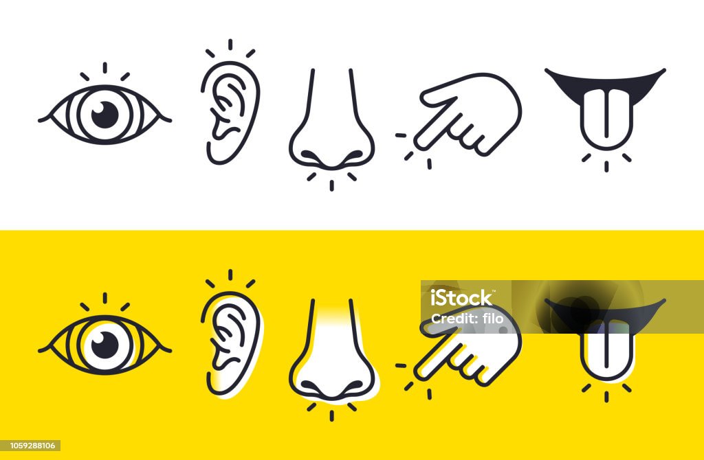 Five Senses Sight Hearing Smell Touch Taste Icons and Symbols Five senses sight, hearing, smell, touch and taste symbols and icons. Icon Symbol stock vector