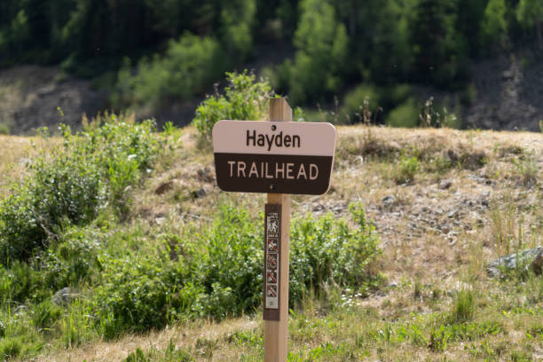 подпишитесь на хейден трейлхед, пешеходную тропу возле красной горы крик в уэйлхеде, штат колорадо. национальный лес некомпехгре - uncompahgre national forest стоковые фото и изображения