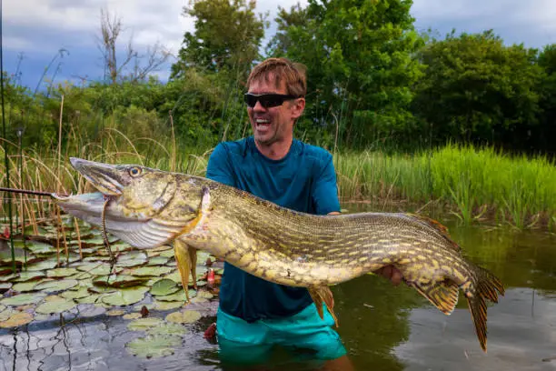 Photo of Big pike catched