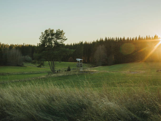 Rural scene in autumn sunlight Hunting tower and sunset\nPhoto taken during afternoon in sunny october in sweden
