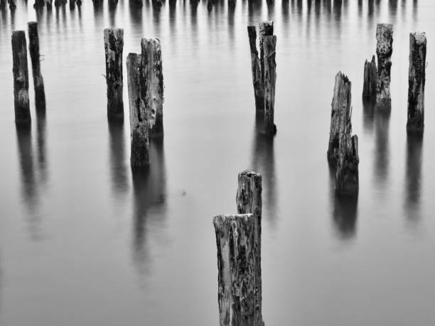 istock Monochrome Portland 1 1059297768