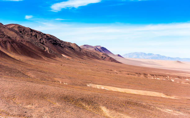 istock Landscape in Atacama desert, Chile. Copy space for text. 1059299710