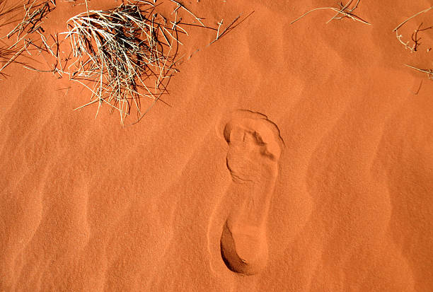 istock Footprint In A Red Sand 105930068