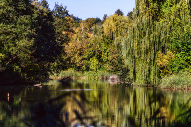 Autumn in the Kytaevo monastery park, Kyiv, Ukraine