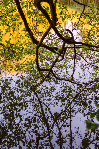 istock Bright Autumn in the Kytaevo monastery park, Kyiv, Ukraine 1059304584