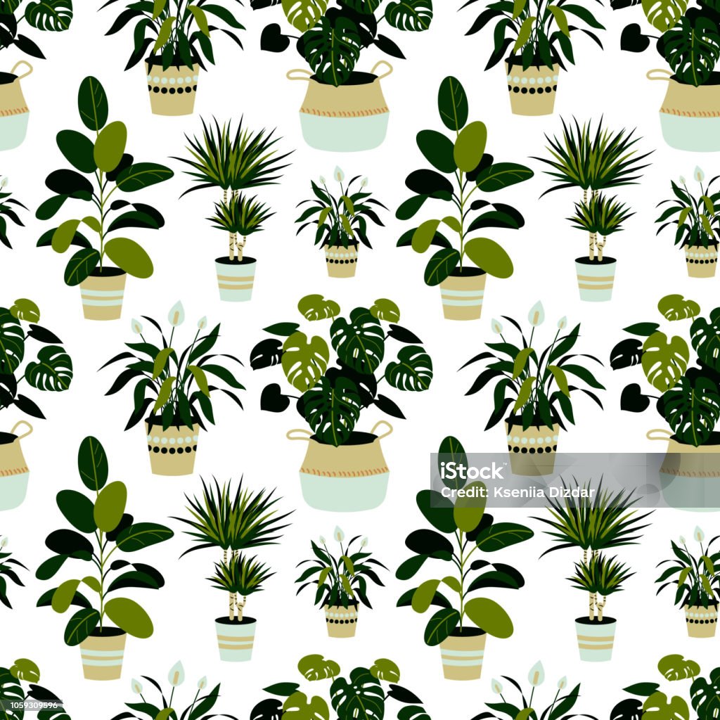 Home Plants Seamless Pattern Vector Illustration Tropical Seamless ...